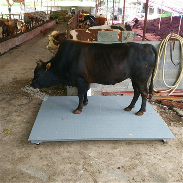 小型地磅