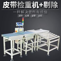 JDT-GT-A30化工廠流水線高速高精度報警皮帶稱重秤廠家