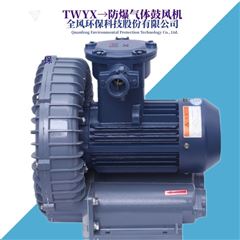 TWYX油库储油罐废气油气风机
