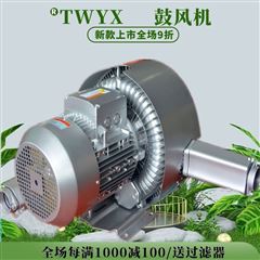 雙段高壓漩渦風(fēng)機(jī)