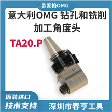 OMG TA20.P 90°单主轴重载角度头