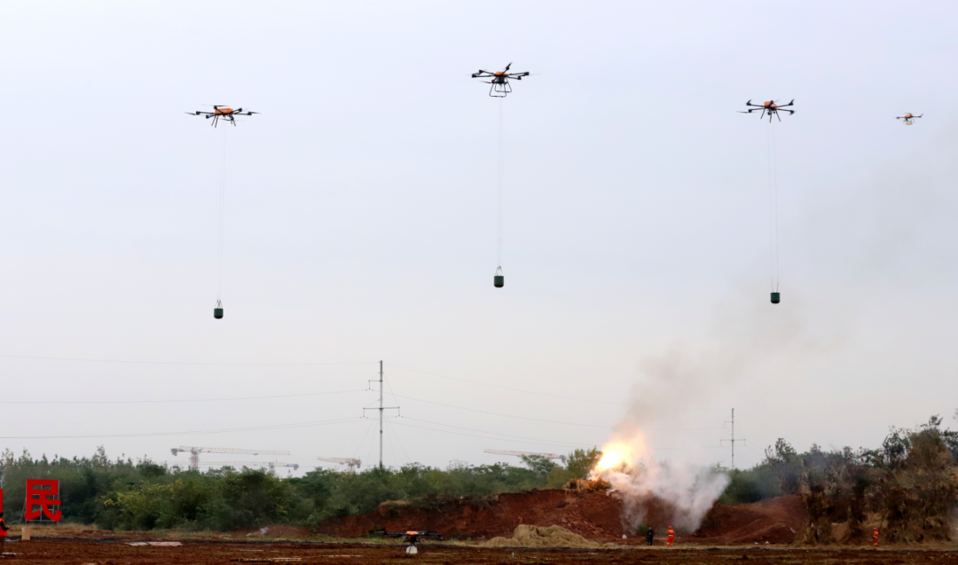 空地協(xié)同，電鷹科技無人機(jī)筑牢森林“防火墻”
