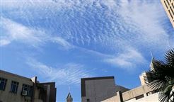 84家！2025年度绍兴市绿色低碳工厂名单公布