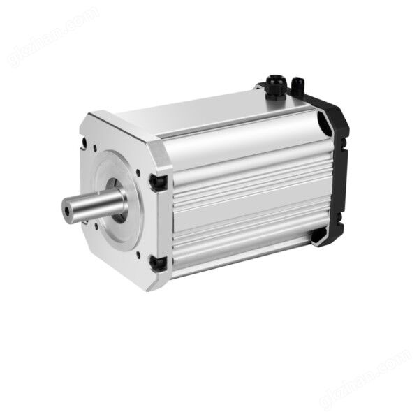 HSI-100/112 IEC标准永磁同步电机