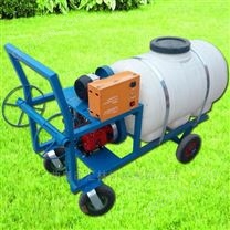 武漢手推式養殖消毒殺蟲打藥機