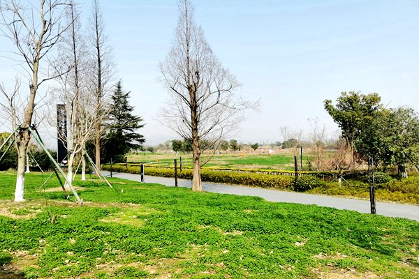 《山东省绿色低碳高质量发展重点项目管理办法》印发 8月1日起施行