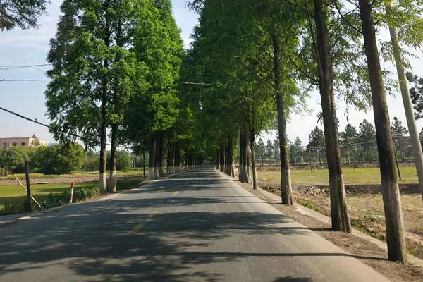 財(cái)政部發(fā)文：節(jié)能減排補(bǔ)助資金實(shí)施期限延長至2030年