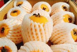 2026年上海市生鲜食用农产品包装计量监督抽查实施细则