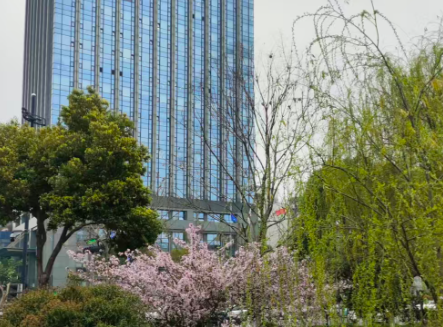 新質(zhì)生產(chǎn)力浪潮下：未來5年最具潛力的八大新興行業(yè)