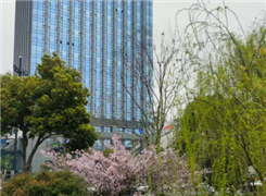 新質生產力浪潮下：未來5年最具潛力的八大新興行業