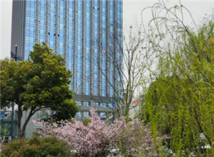 苏州：波司登AI驱动服装产业全价值链智慧运营场景
